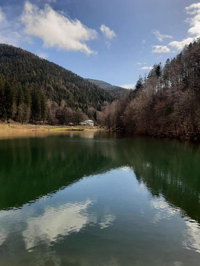 Bocksbergglueck In Hahnenklee, Endreinigung, Bezogene Betten, Handtuecher Inklusive กอสลาร์ ภายนอก รูปภาพ