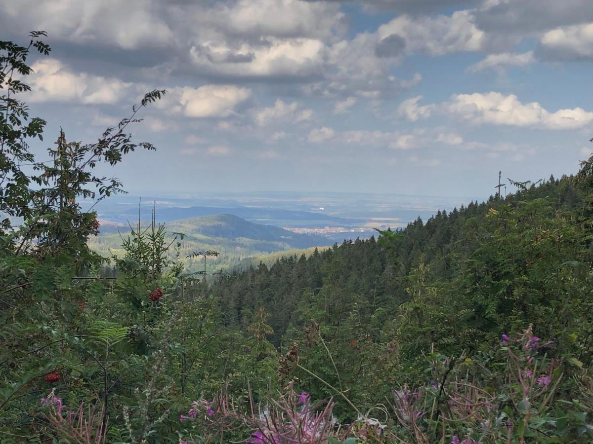 Bocksbergglueck In Hahnenklee, Endreinigung, Bezogene Betten, Handtuecher Inklusive กอสลาร์ ภายนอก รูปภาพ